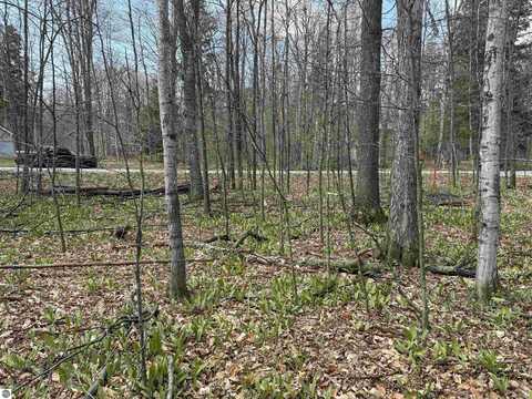 0000 E Sugar Maple Drive, Cedar, MI 49621