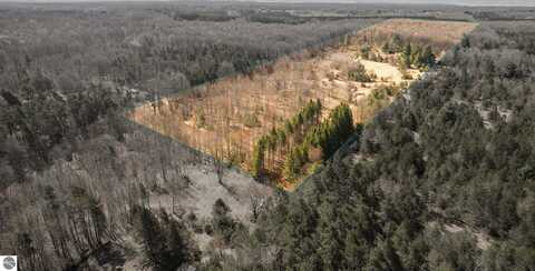 0 Cedar Creek Road, Fife Lake, MI 49633