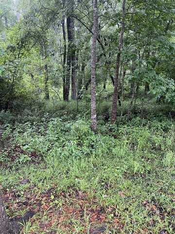 SE Kachina, Lee, FL 32059