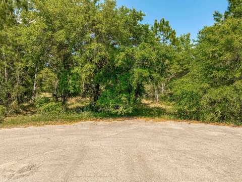 Lot 16 Simmons Ct, Ochlockonee Bay, FL 32346
