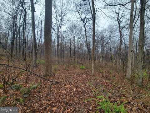 BROWN ROAD, SABILLASVILLE, MD 21780