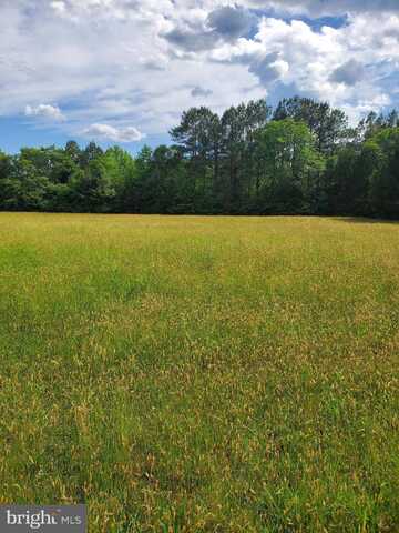 28453 MARTINS FARM ROAD, MILTON, DE 19968