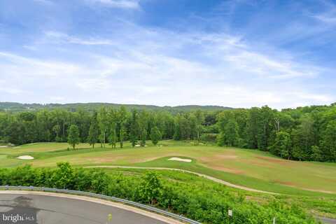 17181 BRANCHED OAK ROAD, DUMFRIES, VA 22026