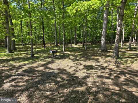 LOT 21 SEC C LAKE FERNDALE DRIVE, SPRINGFIELD, WV 26763