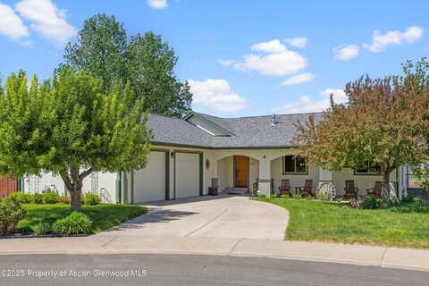 433 Eagles View Court, Silt, CO 81652