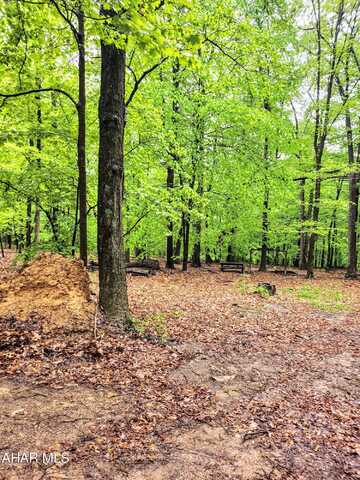 0 Mosquito Hollow Road, Six Mile Run, PA 16679