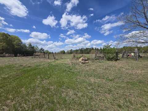 Tbd E 10 Hwy 39 Road, Williston, SC 29853