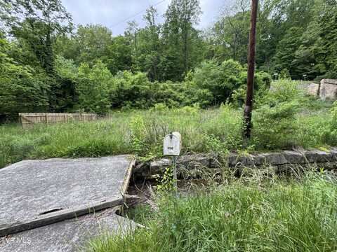 603 Town Branch Road, Jonesville, VA 24263