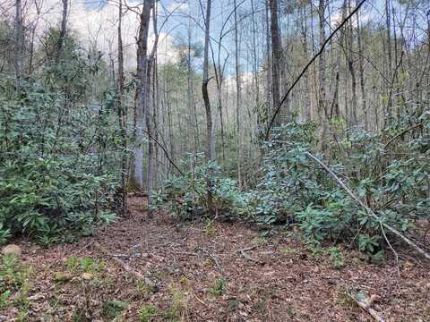 00 Hill Street, Butler, TN 37640