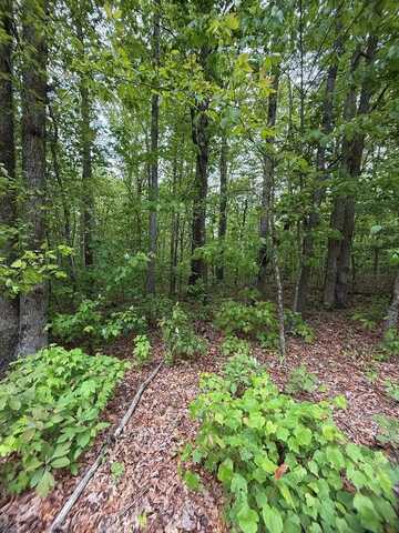 LOT 12 BOW ROAD, MONTEREY, TN 38574