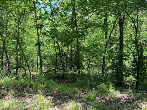 Lot 21 Stoneykirk DR, Bella Vista, AR 72715