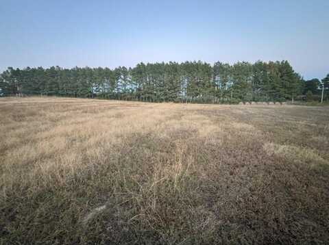 Walnut RD, Hector, AR 72843