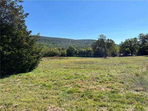 Tract 3 Highway 170, Farmington, AR 72730