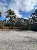 618 Castelgate LOOP, Russellville, AR 72802