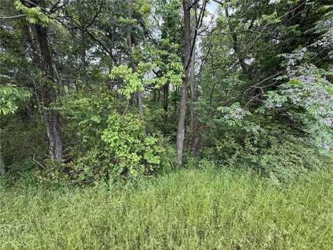 SW 3rd ST, Atkins, AR 72823