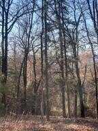 00000 Crow Mountain Drive, Atkins, AR 72823