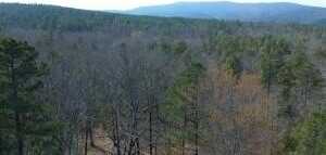 Cold Springs Road, Waldron, AR 72858