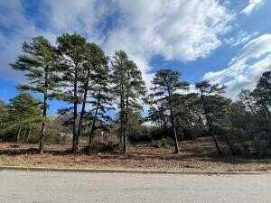 702 Castlegate LOOP, Russellville, AR 72802