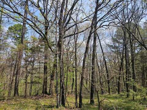 W Chimney Rock Road West, London, AR 72847