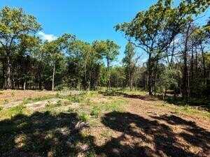 27B & 28B Shelby Lane, Cecil, AR 72930