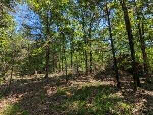TBD 7A Spring Creek Trail, Cecil, AR 72930