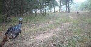 000 Hwy 105, Atkins, AR 72823