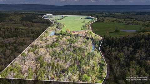 12250 Bluff Road, Other AR, AR 72827