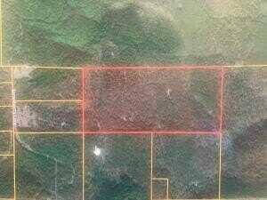 TBD 3651, Lamar, AR 72846