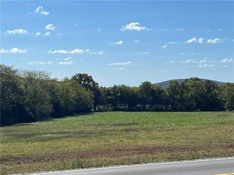 Tract 1 Highway 170, Farmington, AR 72730