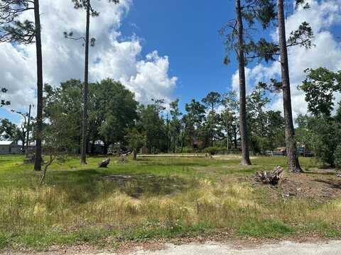4542 Carum Circle, Lake Park, GA 31636