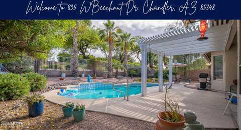 835 W Beechnut Drive, Chandler, AZ 85248