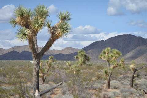 5.5 Acres S Suzette, Yucca, AZ 86438