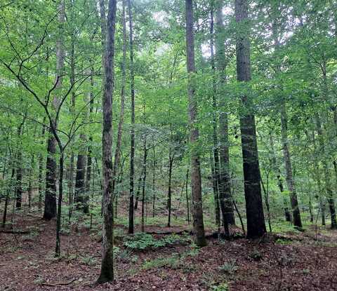 OLD PARRISH CORDOVA Rd, Parrish, AL 35580