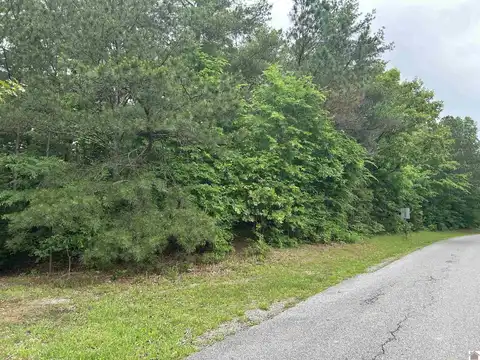 00 Jonathan Point, Benton, KY 42025