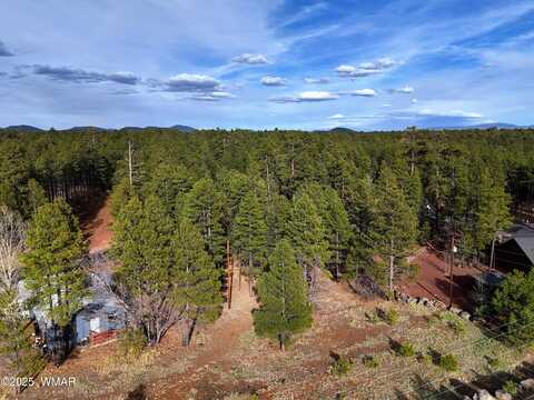 6372 Draco Drive, Lakeside, AZ 85929