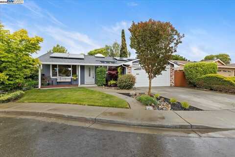 34264 Atteridge Pl, Fremont, CA 94555