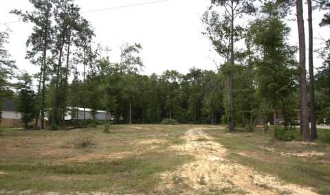 6855 Carlyle Court, Lumberton, TX 77657