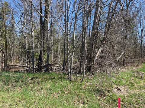 Lot 38 E Houghton Lake Drive, Houghton Lake, MI 48629