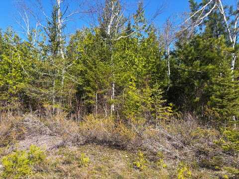 Pineview Drive, Presque Isle, MI 49777