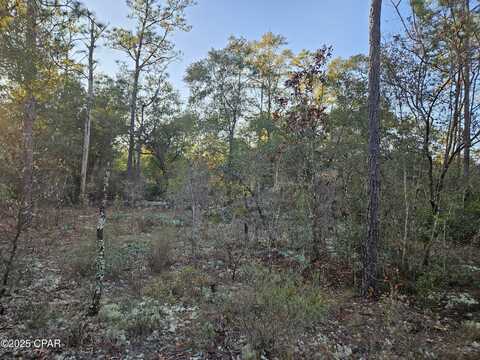 00 Opal Court, Chipley, FL 32428