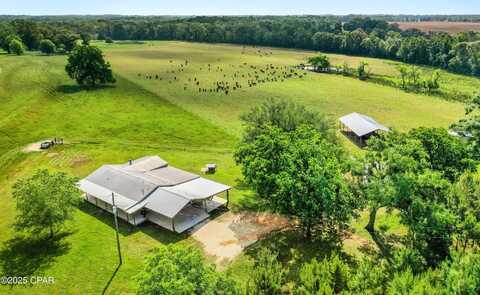 1141 Grover Lewis Road, Bonifay, FL 32425