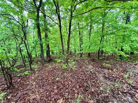 Lot A SW Hwy 5, Sunrise Beach, MO 65079