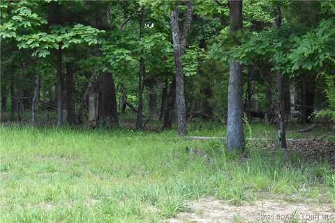 Lot 489 Cornett Branch Road, Lake Ozark, MO 65049