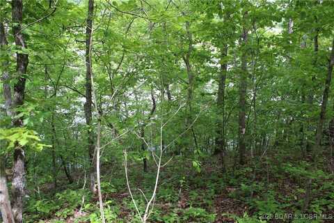 Tbd Butler Road, Gravois Mills, MO 65037