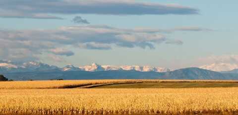 45016 Sunflower Lane, Bennett, CO 80102
