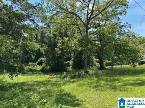 2.19 acres W BROAD STREET, WEDOWEE, AL 36278