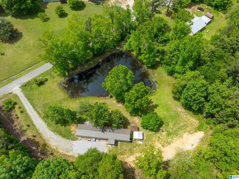 1136 LITTLEJOHN ROAD, JACKSONVILLE, AL 36265