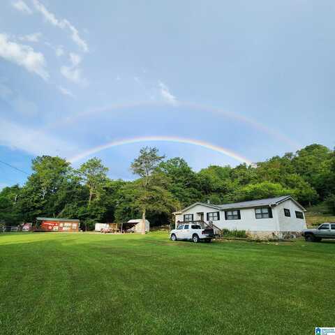18981 REMLAP DRIVE, REMLAP, AL 35133