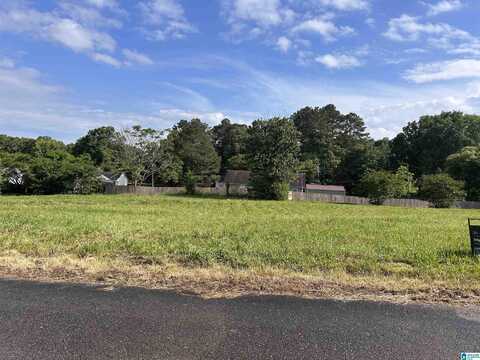 100 HIDDEN HIGHLANDS DRIVE, WARRIOR, AL 35180