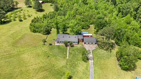 390 CHAMBLEE LANE, WARRIOR, AL 35180